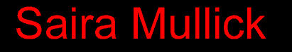 anfinal.gif (3426 bytes)